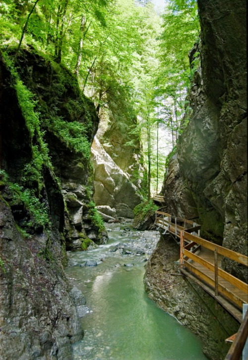 Rappenlochschlucht – Alploch Gorges, one of the largest gorges in the Eastern Alps, near Dornbirn, A