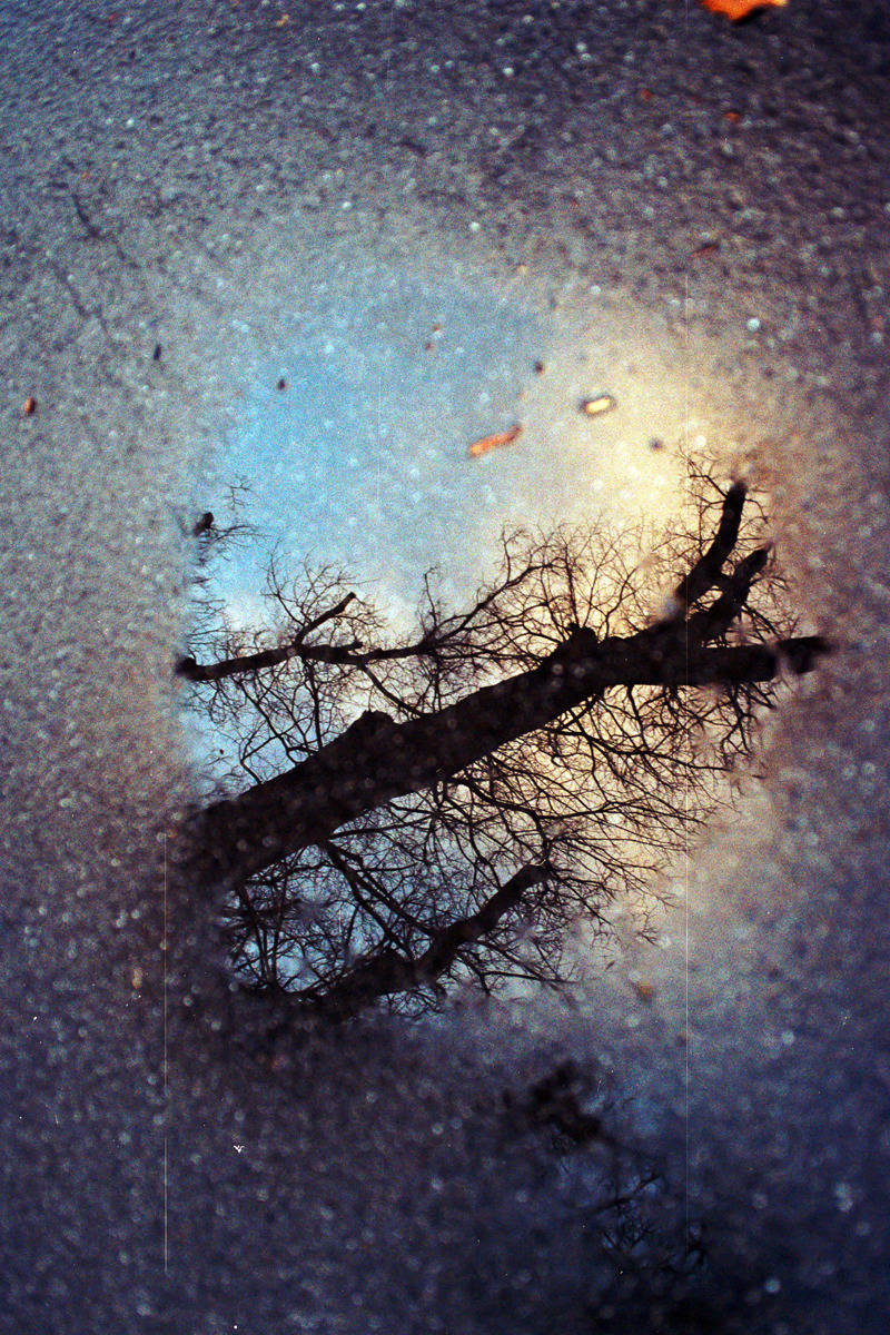 matthewschiavello:  &lsquo;Adventures in Film: Spring puddles&rsquo; (late
