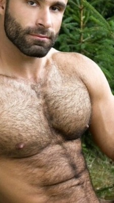 Hot For Hairy Men