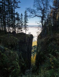 bluepueblo:  Forest Chasm, Steinsfhorden,