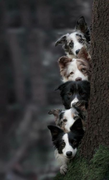 Hanging with your buddies…