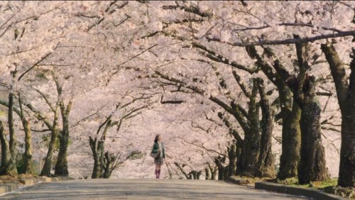 wonderfilledfaith:Beautiful shots taken from the Japanese live action movie Orange. Beautiful cinema