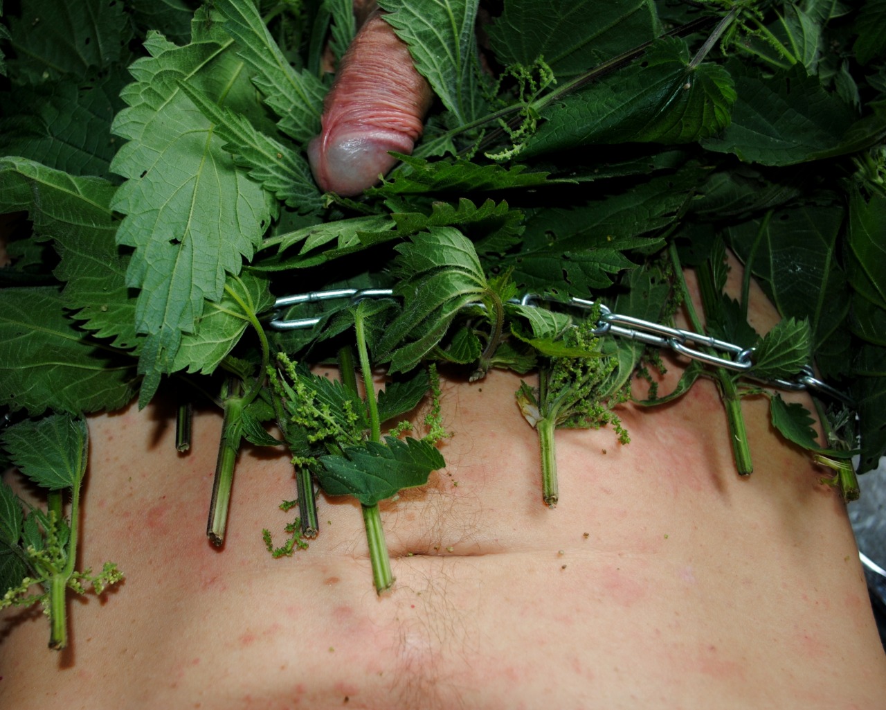 it feels comfortable, these nettles
