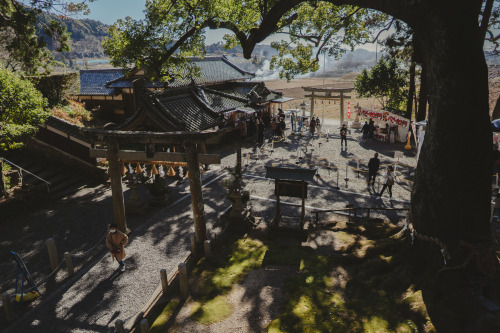 『御神木』sony a6400 + SIGMA 16mm F1.4 DC DN | Contemporary2022.01.05location : 静岡県 Shiuoka, Japan神社、事任八幡