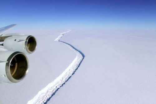 bodacious-poopookittyfuck:  wilwheaton: the-future-now:  the-future-now:  An ice shelf the size of Delaware is about to break from Antarctica  A giant chunk of ice the size of Delaware is threatening to cleave  itself from one of the largest ice shelves