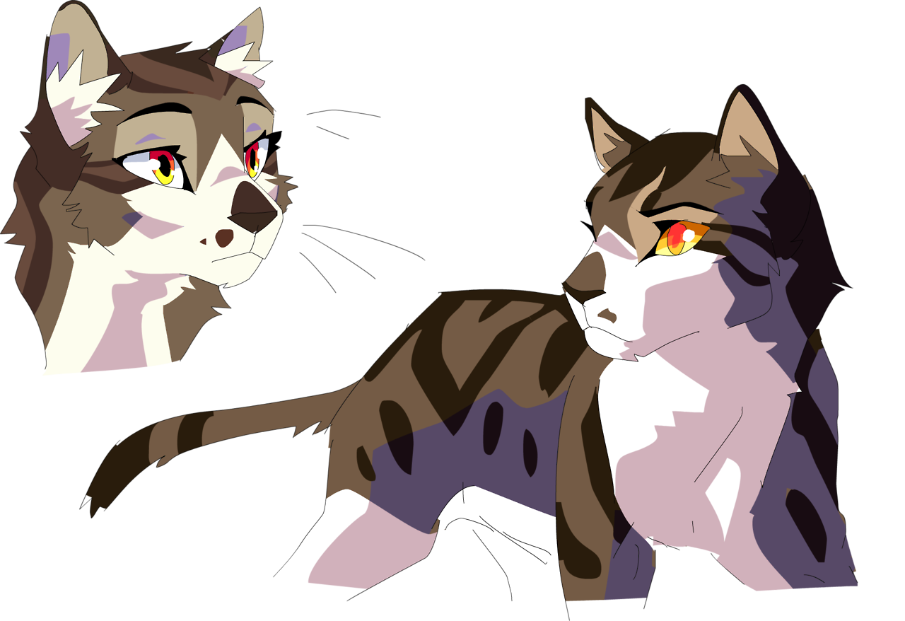 Jayfeather by meow286.deviantart.com on @DeviantArt