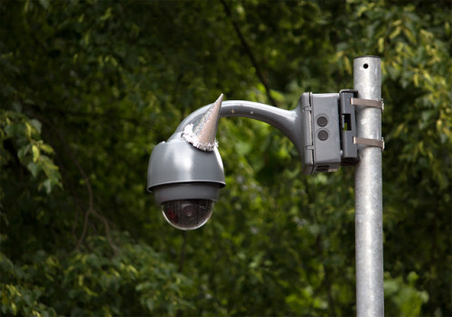 unicorn-meat-is-too-mainstream:  DECORATING SURVEILLANCE CAMERAS WITH PARTY HATS TO CELEBRATE GEORGE ORWELL’S BIRTHDAY