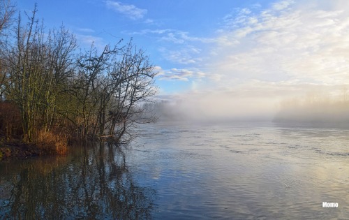 Foggy November morning on the Willamette River in Oregon