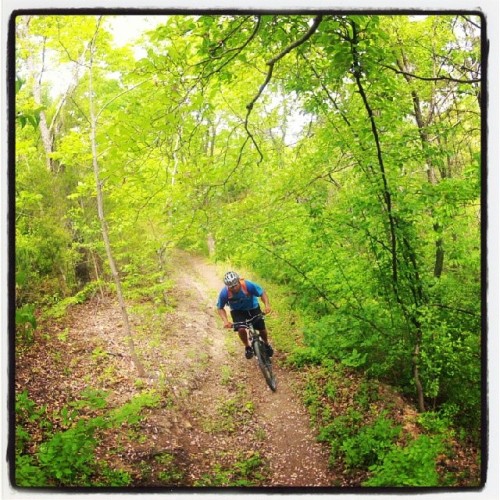 hobbyberries: #solo #ride #outdoors #outside #freedom #peaceful #peace #singletrack #mtb #mtblife #m