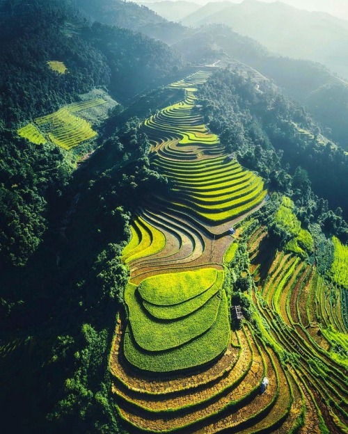 dailyoverview: Check out this stunning shot of the rice terraces in Mù Cang Chải, Vietnam. Developed