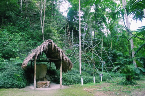 tropiqua-l:  beccam724:  Tikal, Guatemala (June 2014)  ☯️ q’d active and i follow back similar :) ☯ 