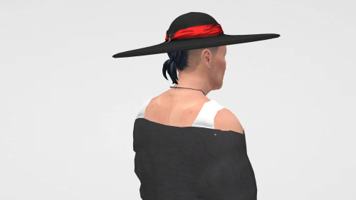 I Understand How To Modify Maxis.