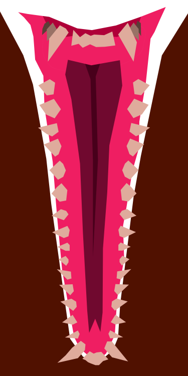 winslowdraws