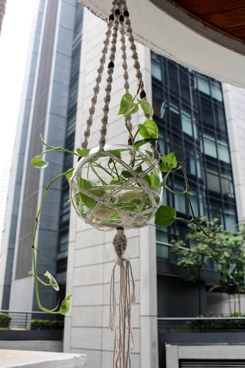 Macrame Plant Hanger //HomeSweetHome79