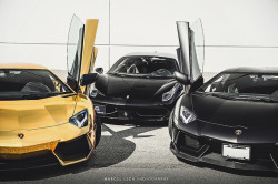 automotivated: GOLD AVENTADOR by Marcel Lech on Flickr. 