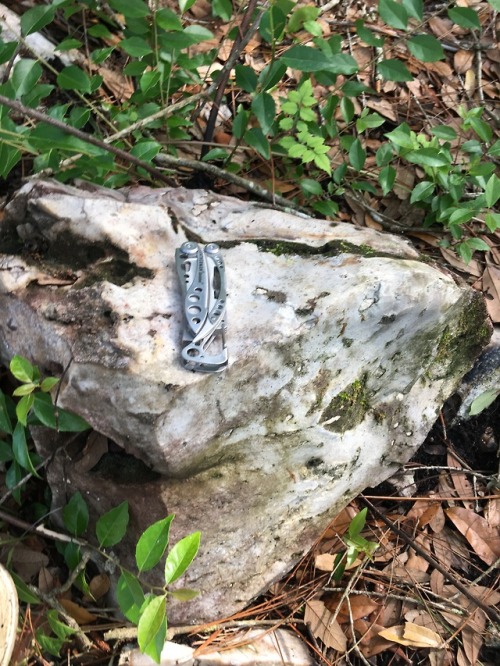 Summer Fieldwork 2018- Suwannee chert outcrop in northwest Florida. I will be sampling this location