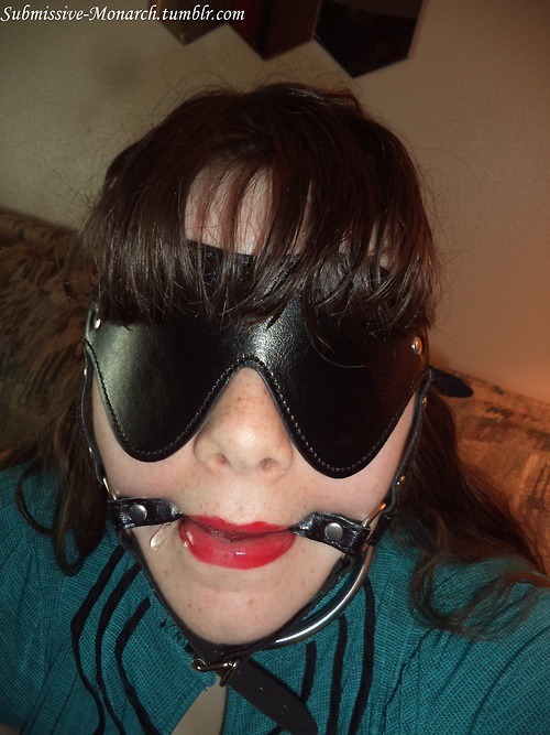 kitten-doll:  submissive-monarch:  casually-collared:  submissive-monarch:  amateurgags:
