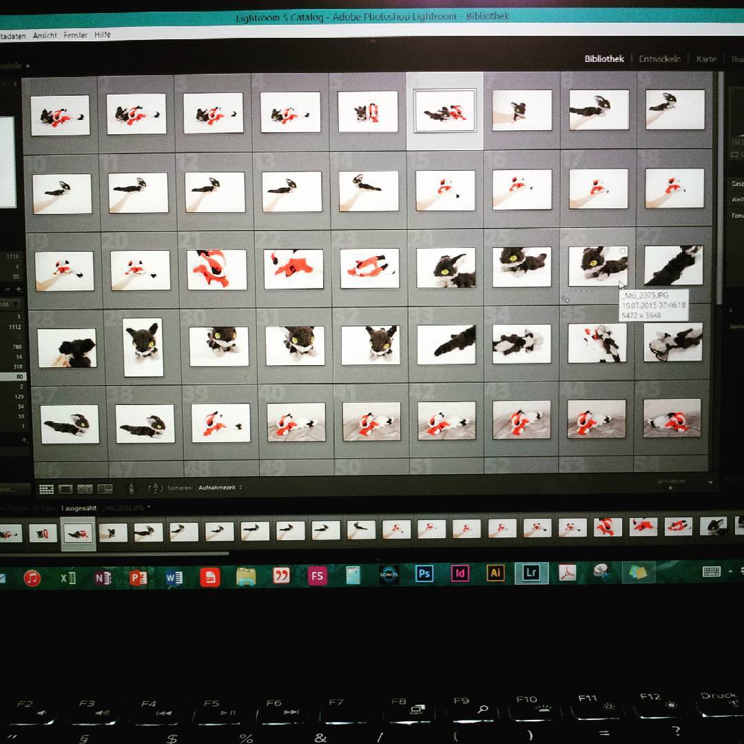 silberknoepfchen:  So finally i am working on the pictures for the long awaited Commission:)