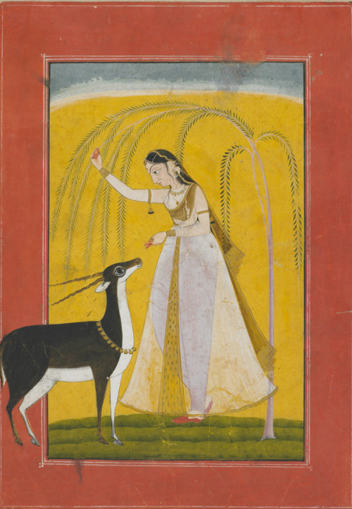 Girl with a pet antelope, 1750, punjabi art