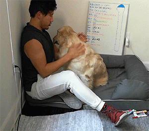 dogiplier:  SUCH A GOOD GIRL