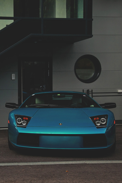 modernambition:   Murciélago | WF 