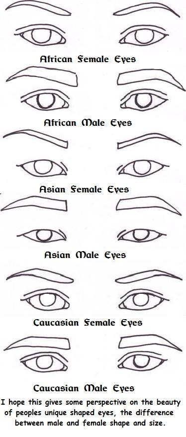 Asian and Caucasian Eye Drawing Reference