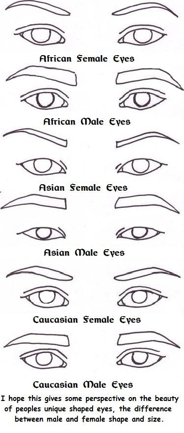 Stylizing Eyes & Forming Expressive, Unique Eye Shapes by yitsuin - Make  better art