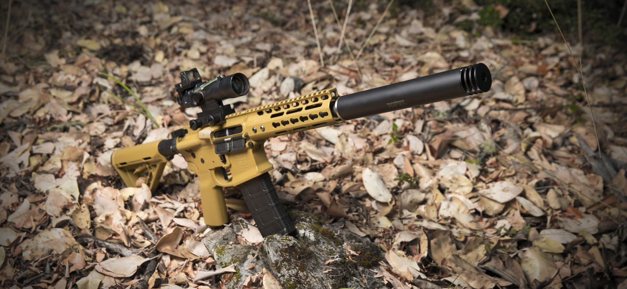 xnxland:  Guns don’t have to be loud. 