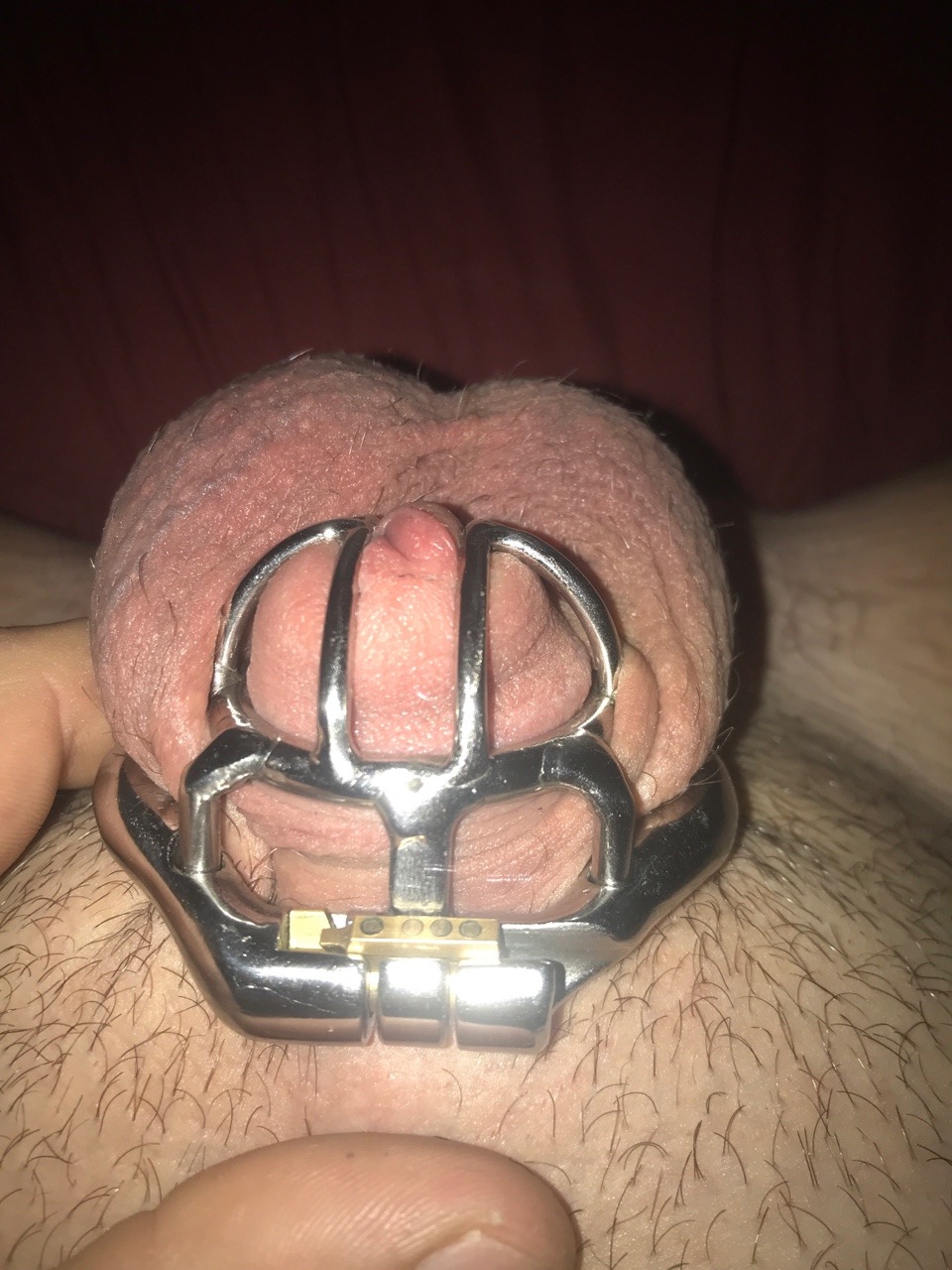 bdsmkinky93:  How long shall I be lcoked up 1 like-20 days1 comment-40 days1 reblog-60 days Anyone can comment or reblog as many times as they would like Ordered by @godddess-mel as she is my goddess#locked cock #chastity #no cumming