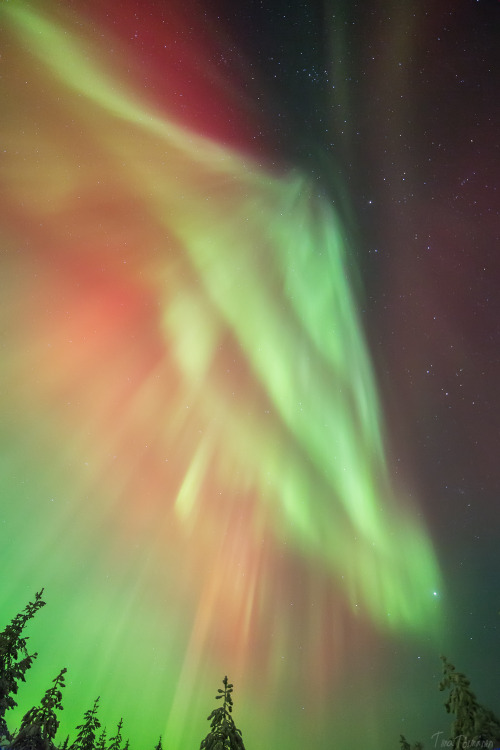 tiinatormanenphotography: Wish you all a fantastic 2015 !! Some natural fireworks ;) 