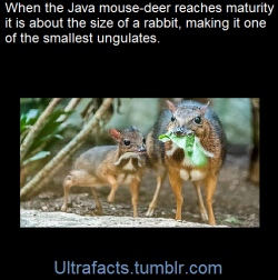 ultrafacts:  Source For more facts, follow