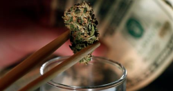 huffpostpolitics:  Legal Marijuana In Colorado