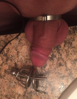 mistressmaddieandknight:  Locked with a sound