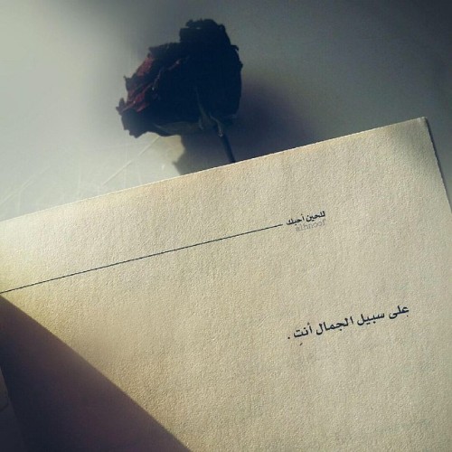 el-don-mohammad:  على سبيل الجمال .. انت ❤ 