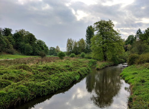 The Luggie Water through the seasonsToday marks a year since I started working at a garden centre, t