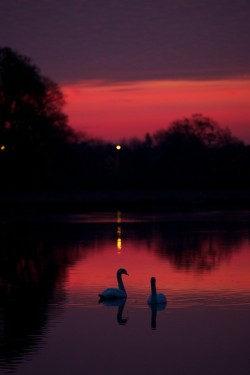 faeryhearts:  Photography: Before The Dawn,