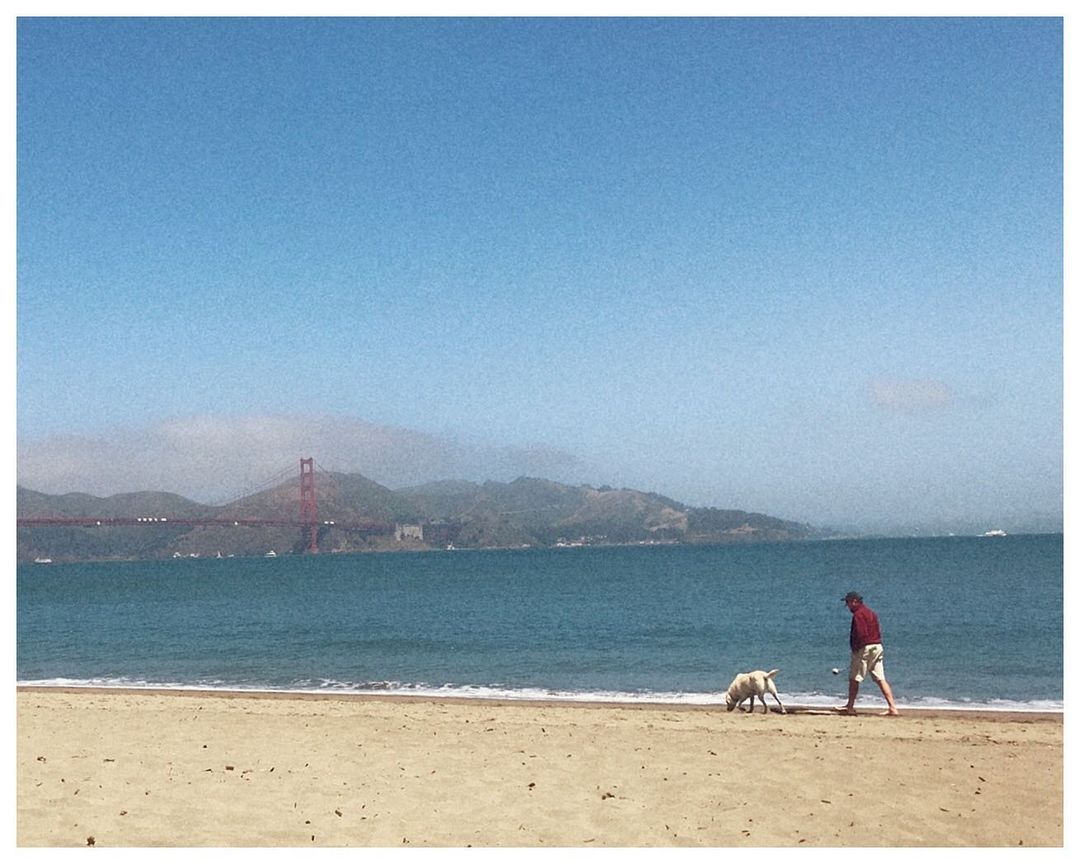 We walk in sand storms. #explore #connect #pause #sanfrancisco #beach #summer #sand #dog #societyofpeople
https://www.instagram.com/p/CP7cAsanfMX/?utm_medium=tumblr