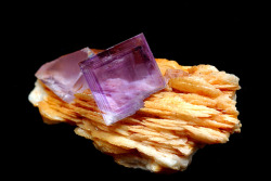 hematitehearts:  Phantom Fluorite on BaryteLocality: 