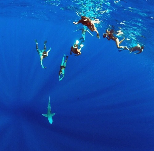 La Mar