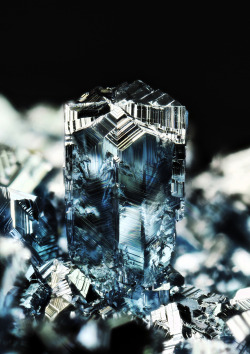 ifuckingloveminerals:  Osmium Blue osmium crystals made by CVD. Main crystals show penetration triple twinning.