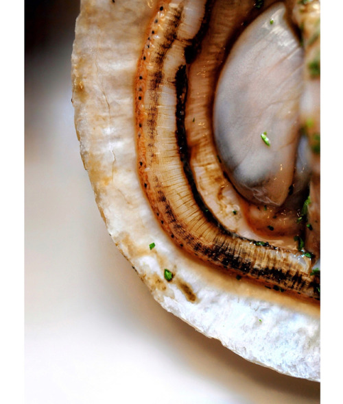 prepping scallops. #shucking #scallops #seafood #scallop #foodphotography #foodphotographer #houston