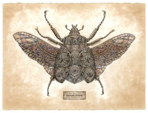Gears and Dials Rendered in Intricate Drawings of Gem-Encrusted Insects by Steeven Salvat