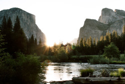 gettingahealthybody:  clara-jo:  Yosemite