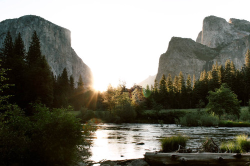 XXX comfortably-lobotomized:  clara-jo:  Yosemite photo