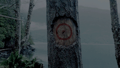 liliescollins:  make me choose: caitilns asked oliver queen or thea queen