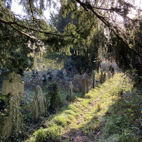 aconissa: Holywell Cemetery, Oxford, UK (November 2020)