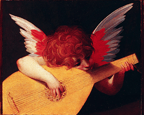 infected:Rosso Fiorentino, Musician Angel, c. 1520