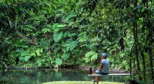 oceaniatropics: henrietta creek, queensland, australia