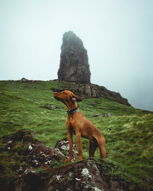 made a friend in scotland