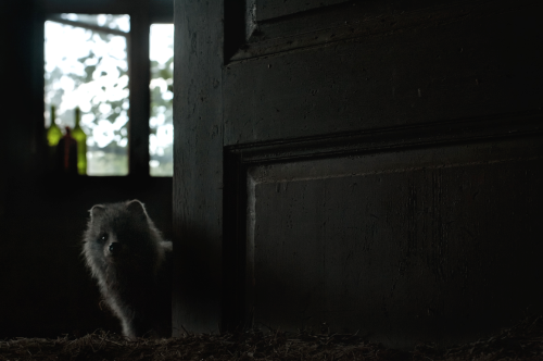 When Kai Fagerstrm Happened Upon An Old Cottage In Rural Suomusjrvi, Finland, Abandoned Decades Ago,